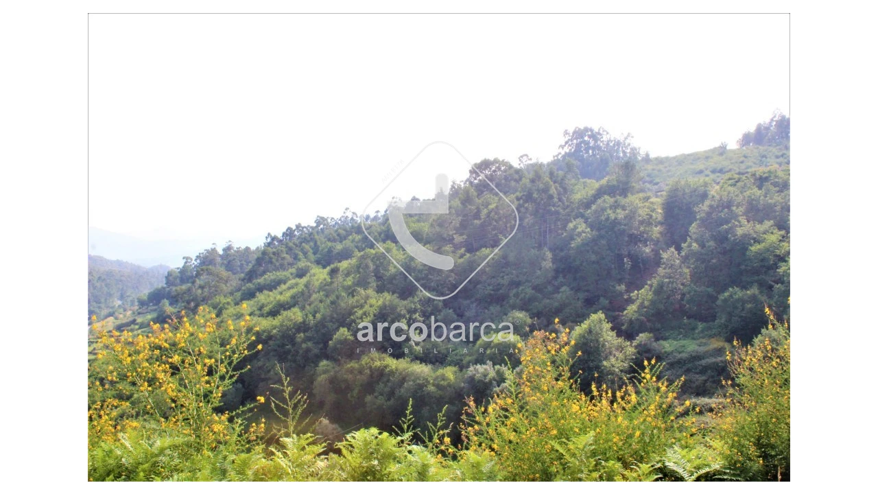 Terreno para Venda em Labrujó, Rendufe e Vilar do Monte Foto 10