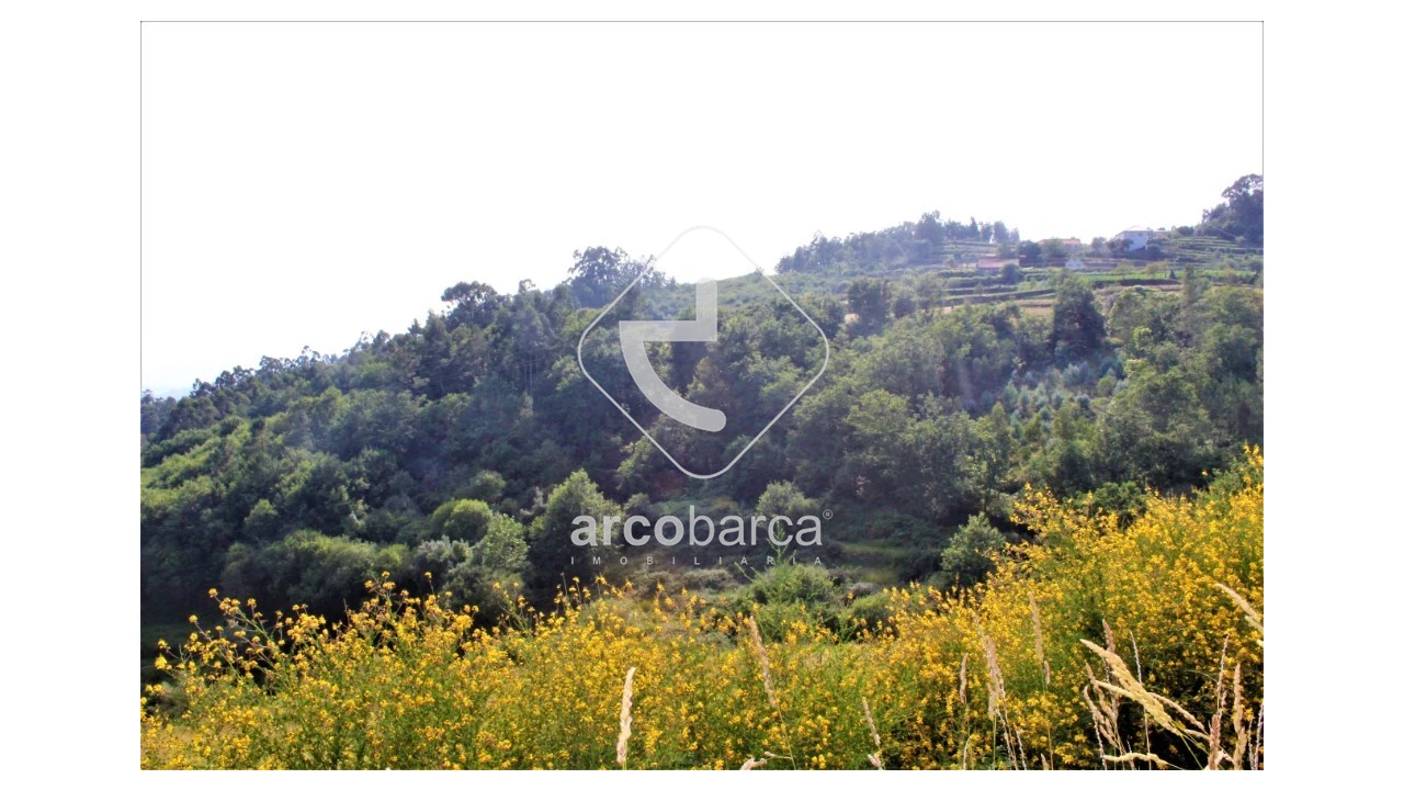 Terreno para Venda em Labrujó, Rendufe e Vilar do Monte Foto 7