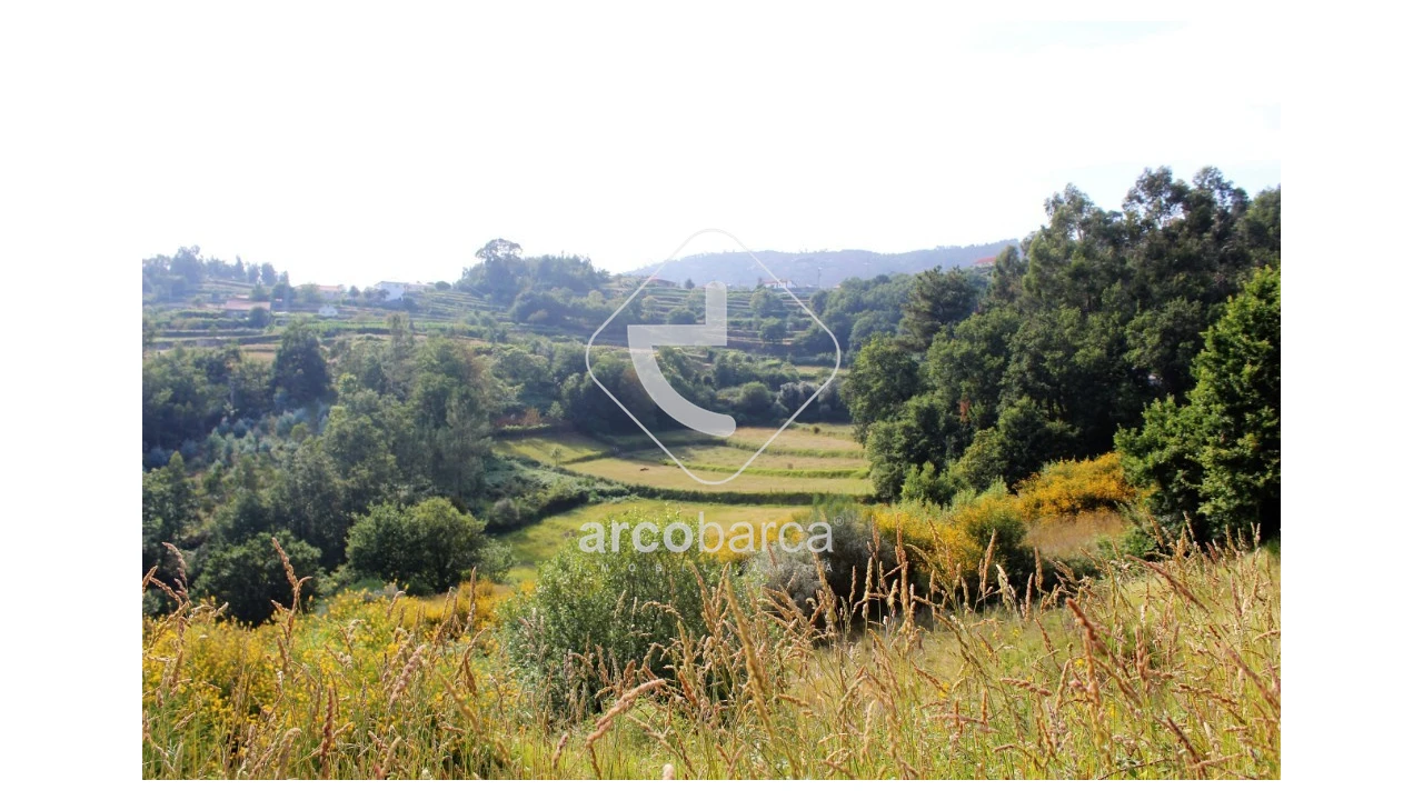Terreno para Venda em Labrujó, Rendufe e Vilar do Monte Foto 3