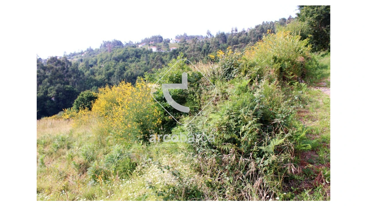 Terreno para Venda em Labrujó, Rendufe e Vilar do Monte Foto 2