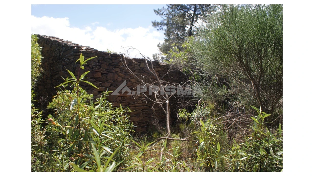 Terreno para Venda em Escalos de Baixo e Mata Foto 11