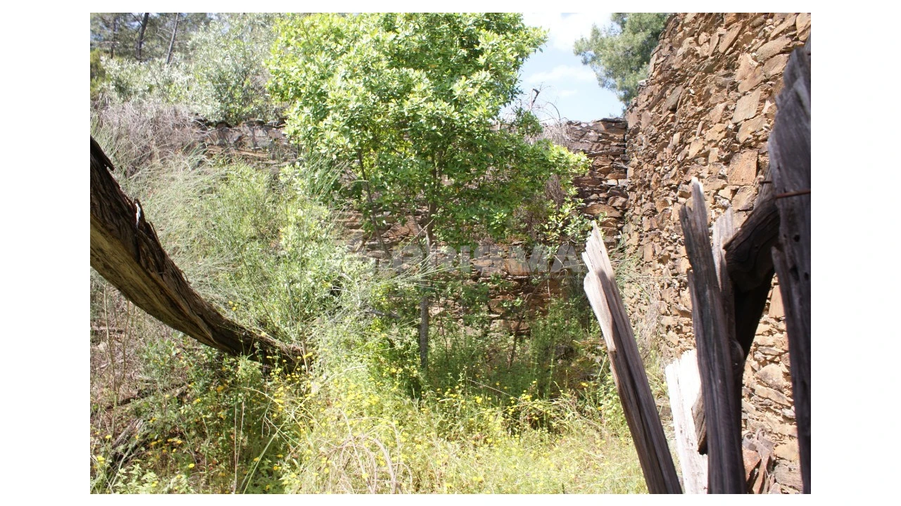 Terreno para Venda em Escalos de Baixo e Mata Foto 14