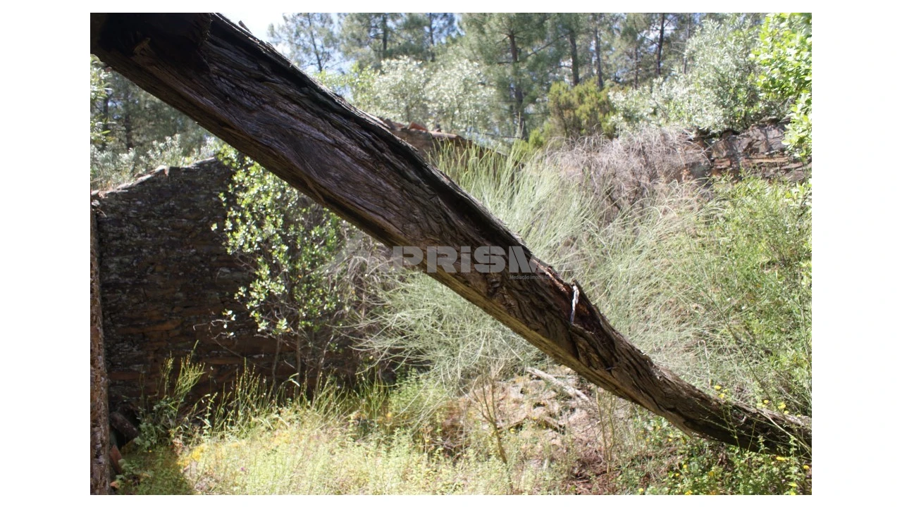 Terreno para Venda em Escalos de Baixo e Mata Foto 15