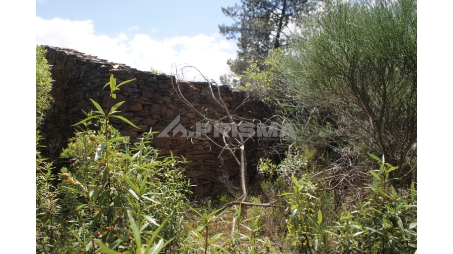 Terreno para Venda em Escalos de Baixo e Mata Foto 11