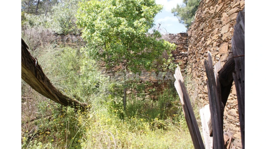 Terreno para Venda em Escalos de Baixo e Mata Foto 14