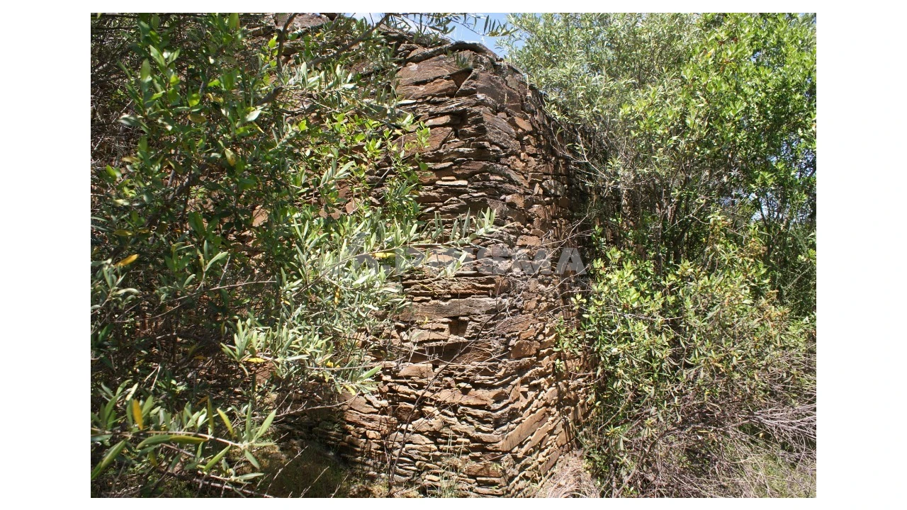 Terreno para Venda em Escalos de Baixo e Mata Foto 18