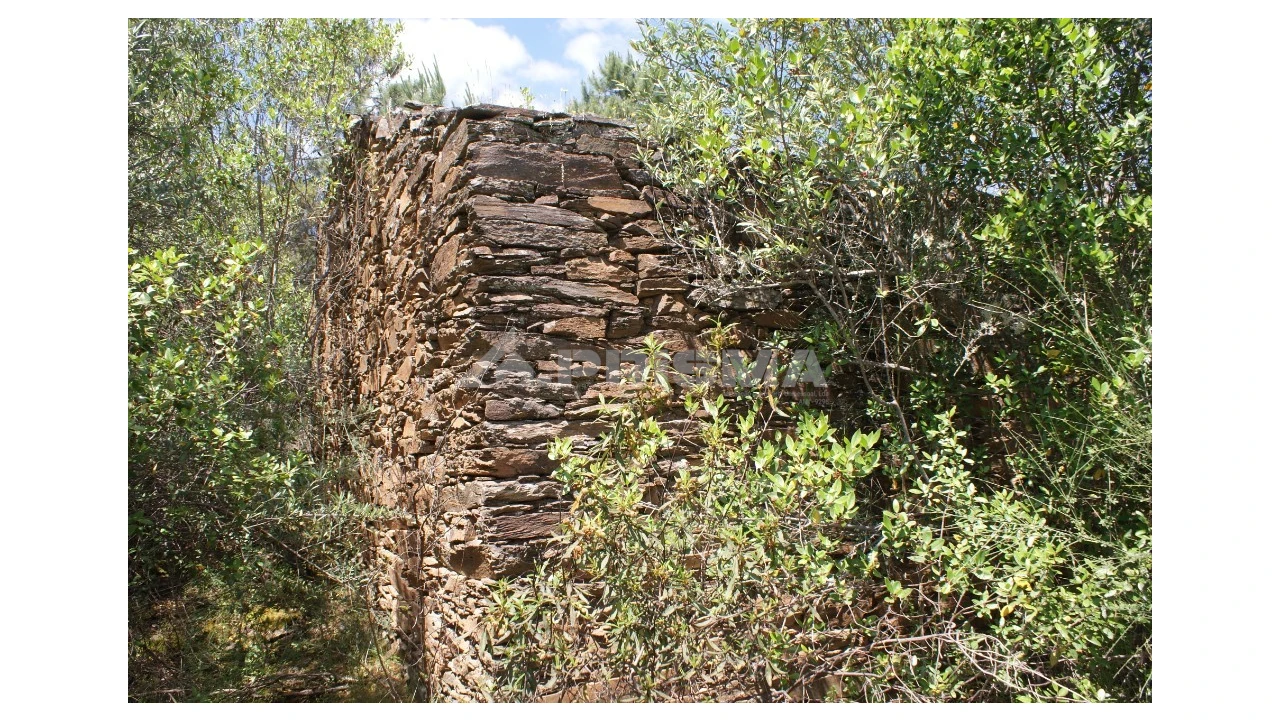 Terreno para Venda em Escalos de Baixo e Mata Foto 16