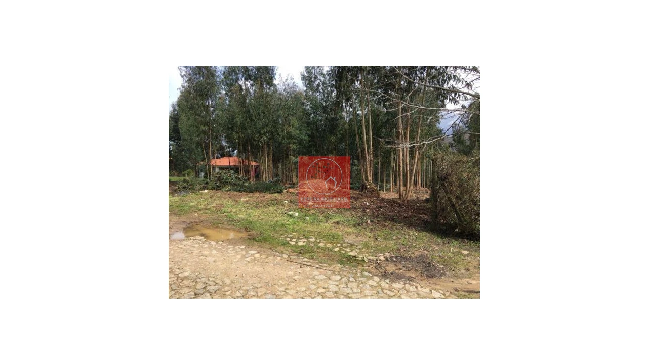 Terreno para Venda em Venade e Azevedo Foto 3