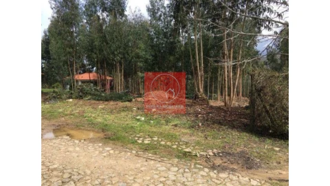 Terreno para Venda em Venade e Azevedo