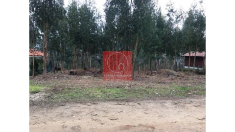 Terreno para Venda em Venade e Azevedo