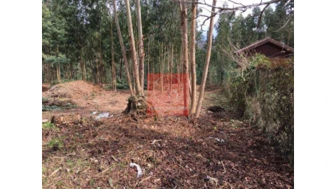 Terreno para Venda em Venade e Azevedo