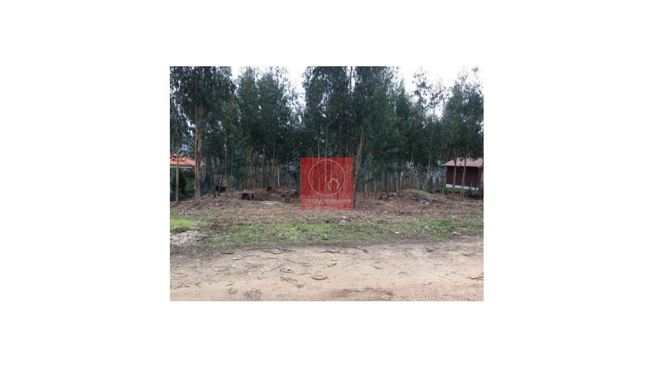 Terreno para Venda em Venade e Azevedo Foto 2