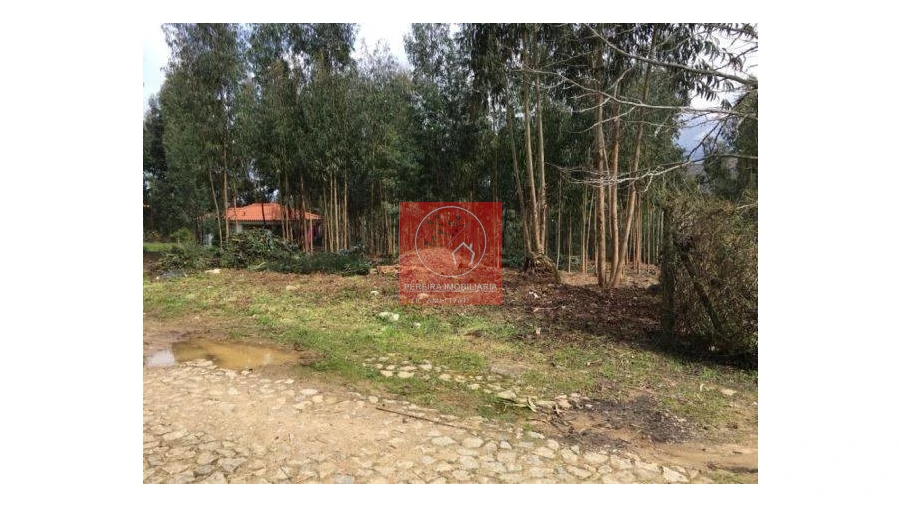 Terreno para Venda em Venade e Azevedo Foto 3
