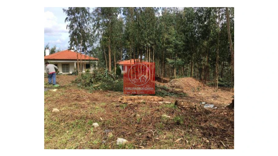 Terreno para Venda em Venade e Azevedo Foto 4