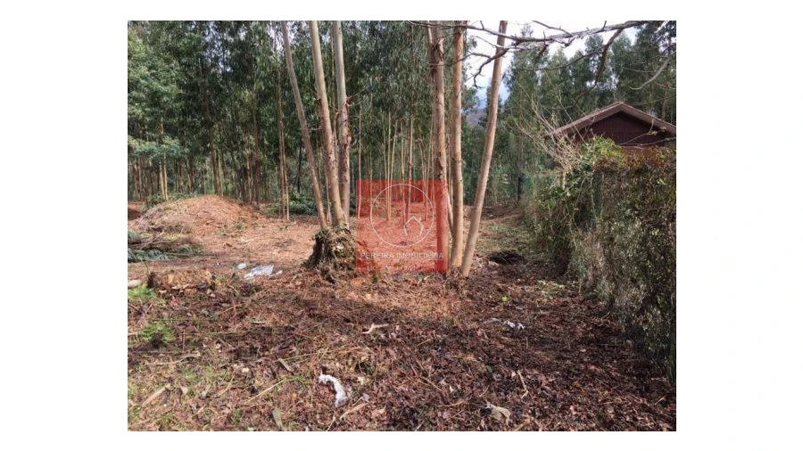 Terreno para Venda em Venade e Azevedo Foto 6
