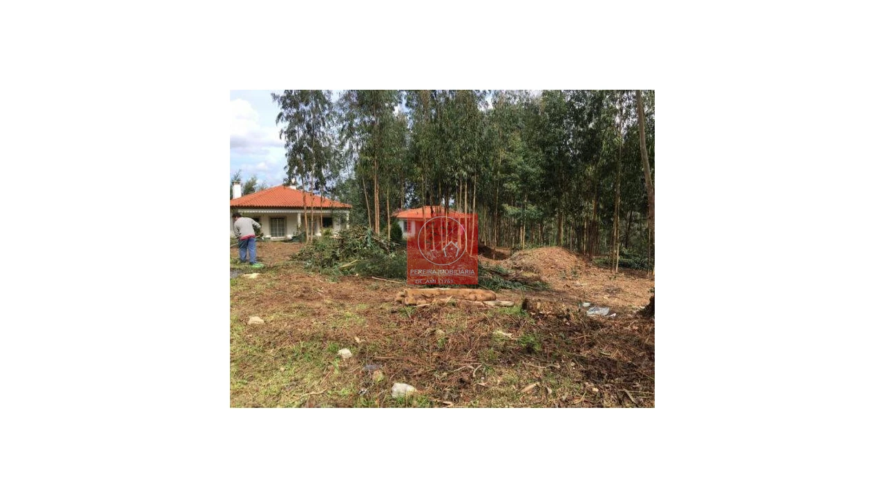 Terreno para Venda em Venade e Azevedo Foto 4