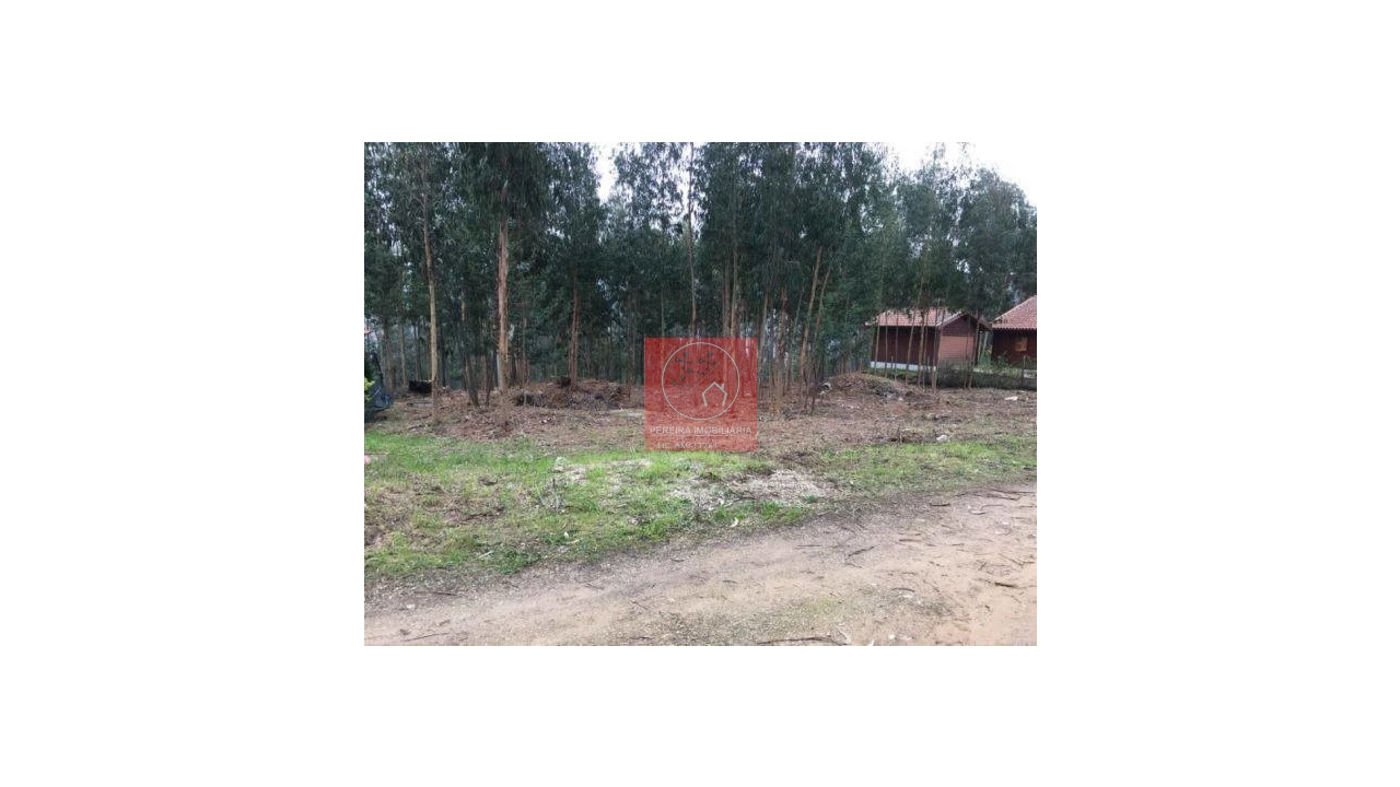 Terreno para Venda em Venade e Azevedo Foto 1