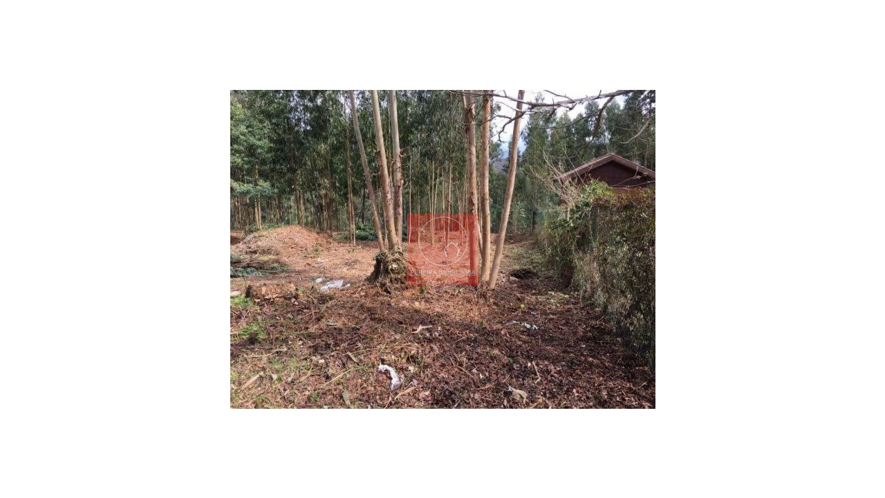 Terreno para Venda em Venade e Azevedo Foto 6