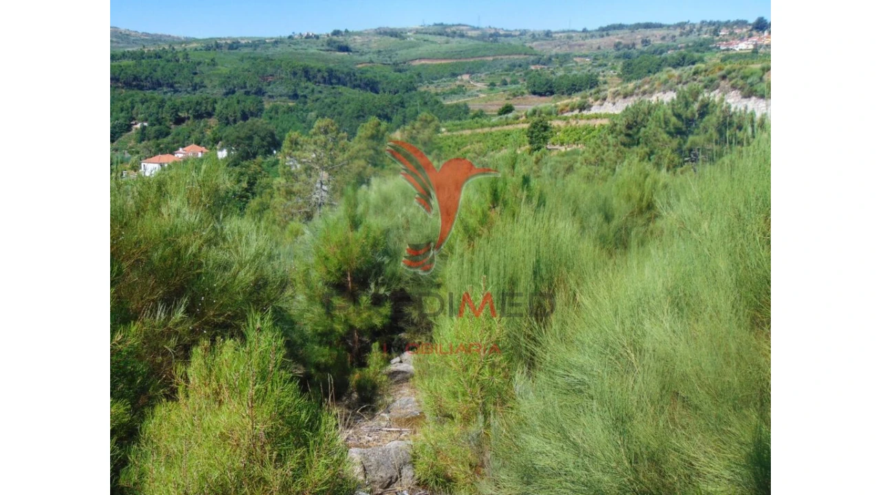 Terreno para Venda em Vilar de Maçada Foto 12