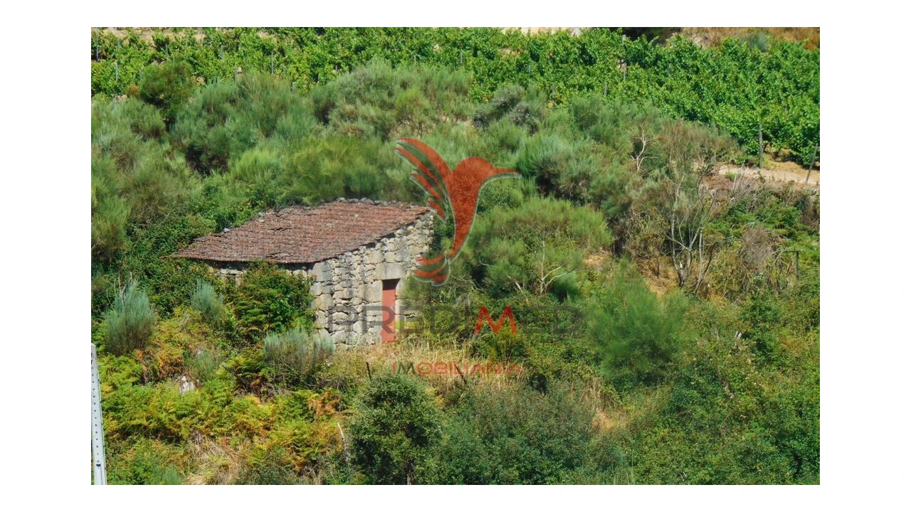 Terreno para Venda em Vilar de Maçada Foto 2
