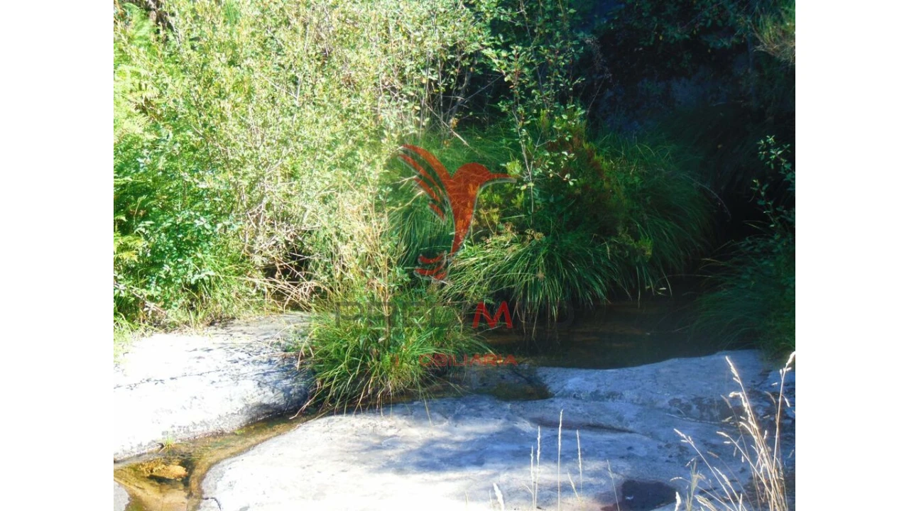 Terreno para Venda em Vilar de Maçada Foto 6