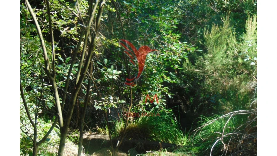 Terreno para Venda em Vilar de Maçada Foto 7