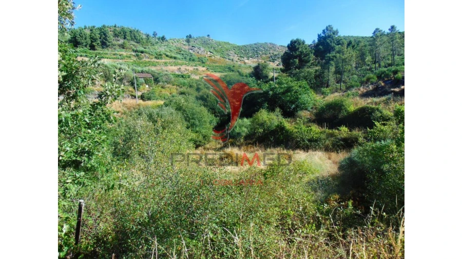 Terreno para Venda em Vilar de Maçada Foto 9