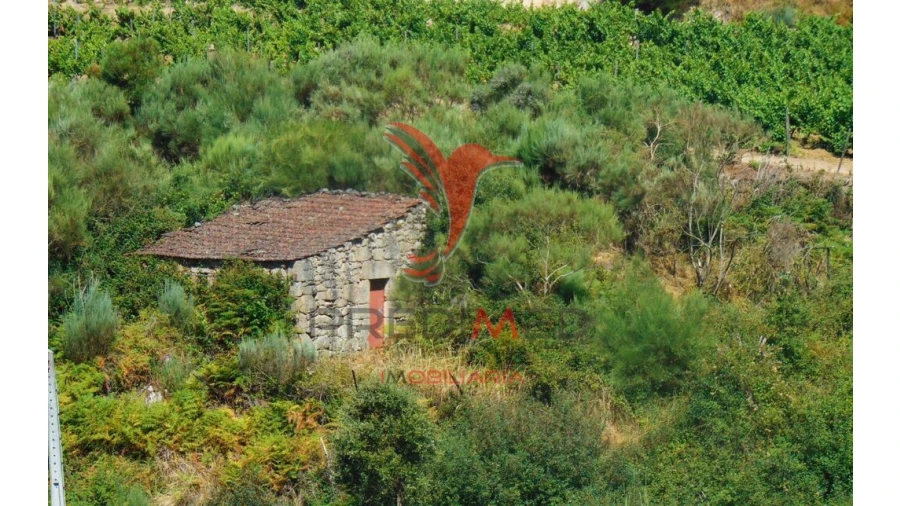 Terreno para Venda em Vilar de Maçada Foto 2