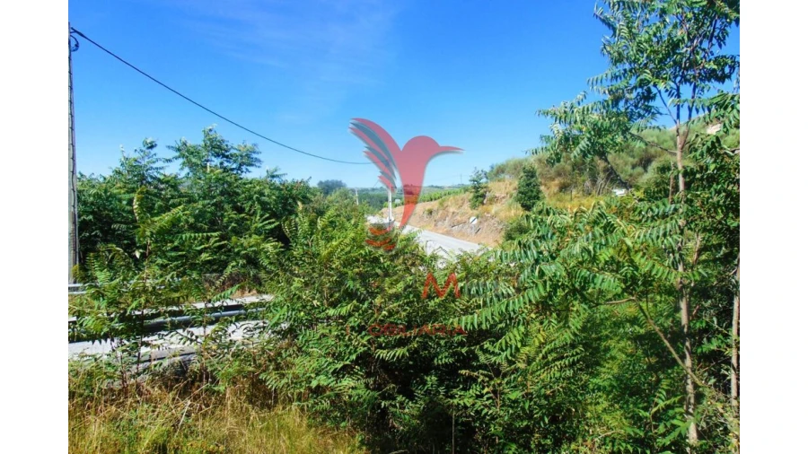 Terreno para Venda em Vilar de Maçada Foto 15