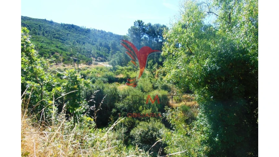 Terreno para Venda em Vilar de Maçada Foto 19