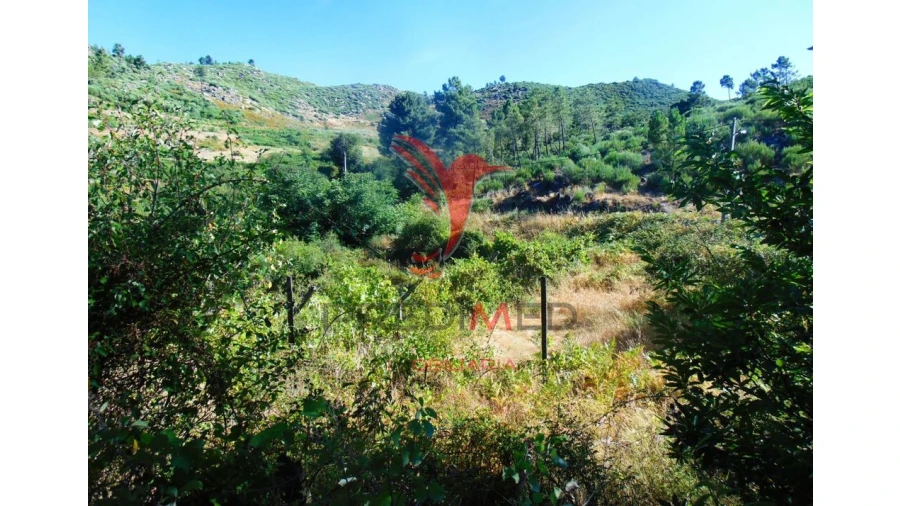 Terreno para Venda em Vilar de Maçada Foto 8