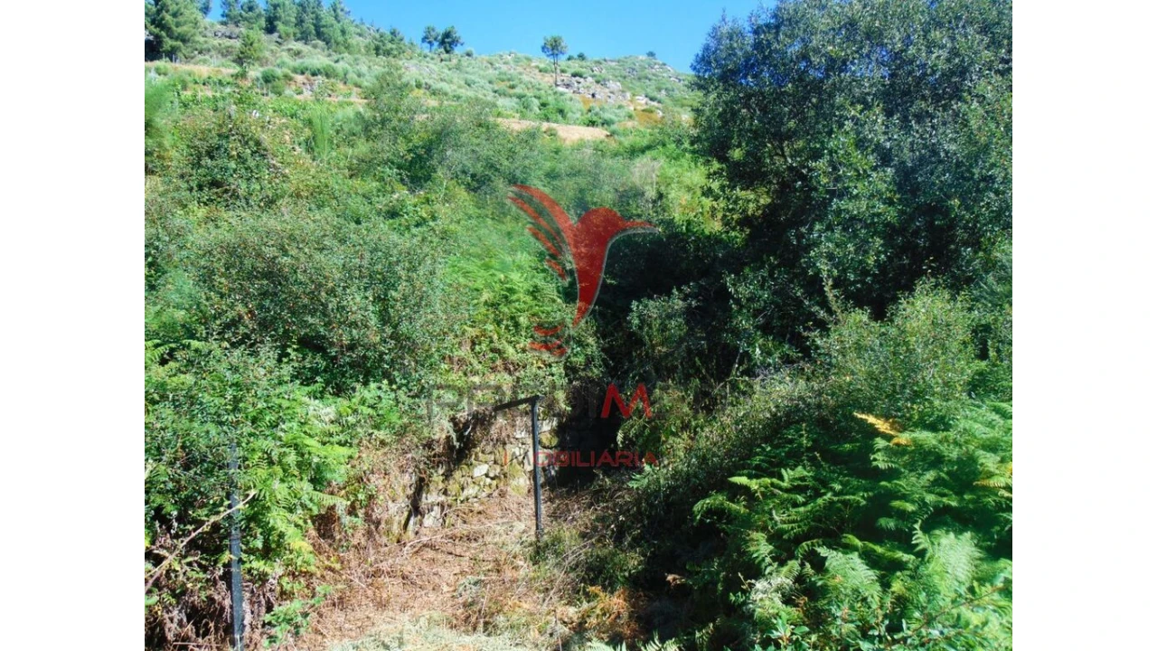 Terreno para Venda em Vilar de Maçada Foto 4