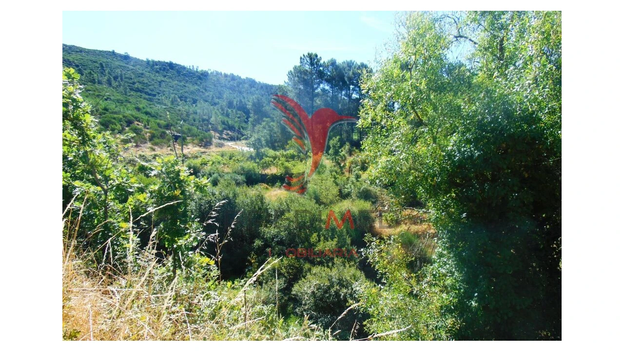Terreno para Venda em Vilar de Maçada Foto 19