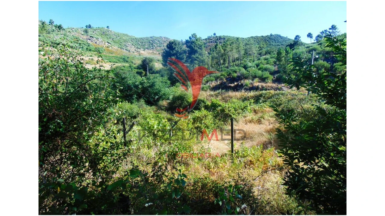 Terreno para Venda em Vilar de Maçada Foto 8