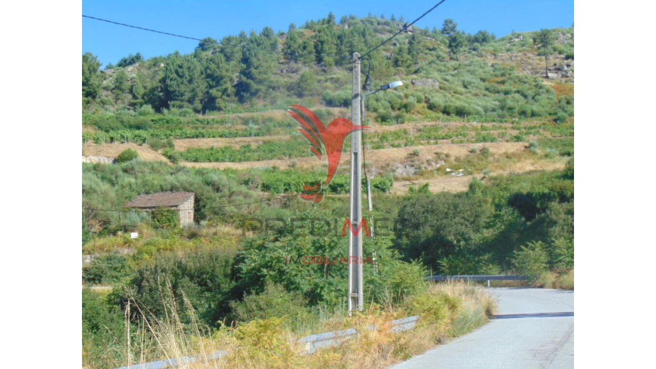 Terreno para Venda em Vilar de Maçada Foto 14