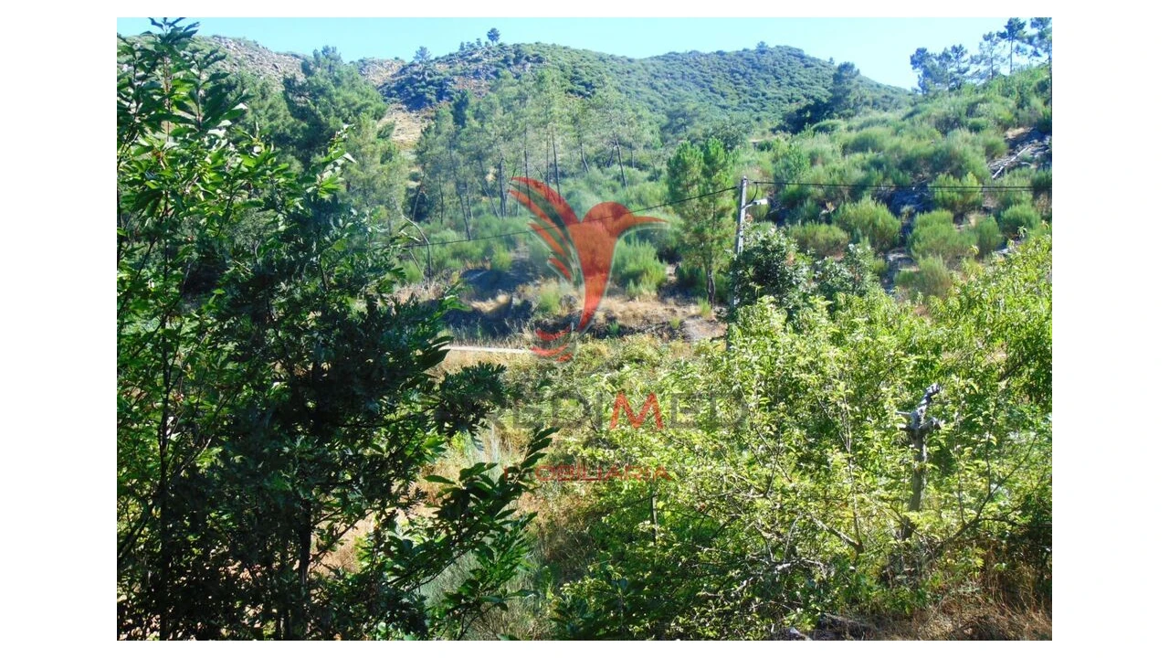 Terreno para Venda em Vilar de Maçada Foto 11