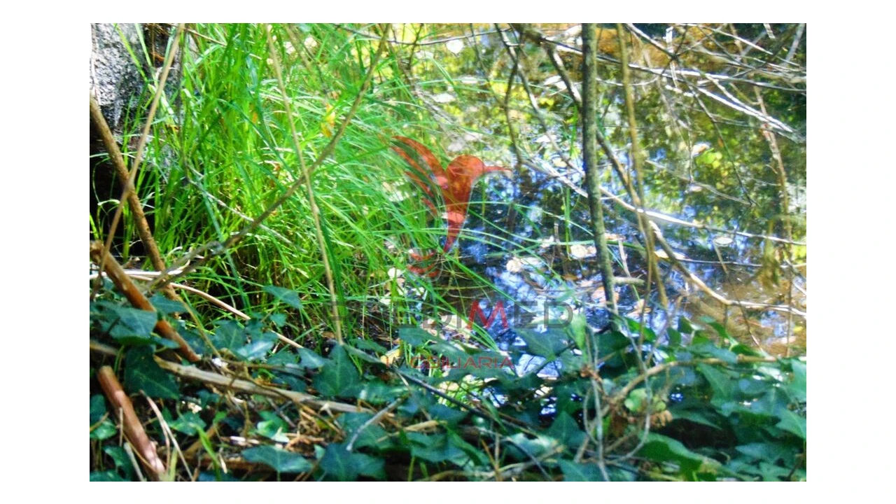 Terreno para Venda em Vilar de Maçada Foto 5