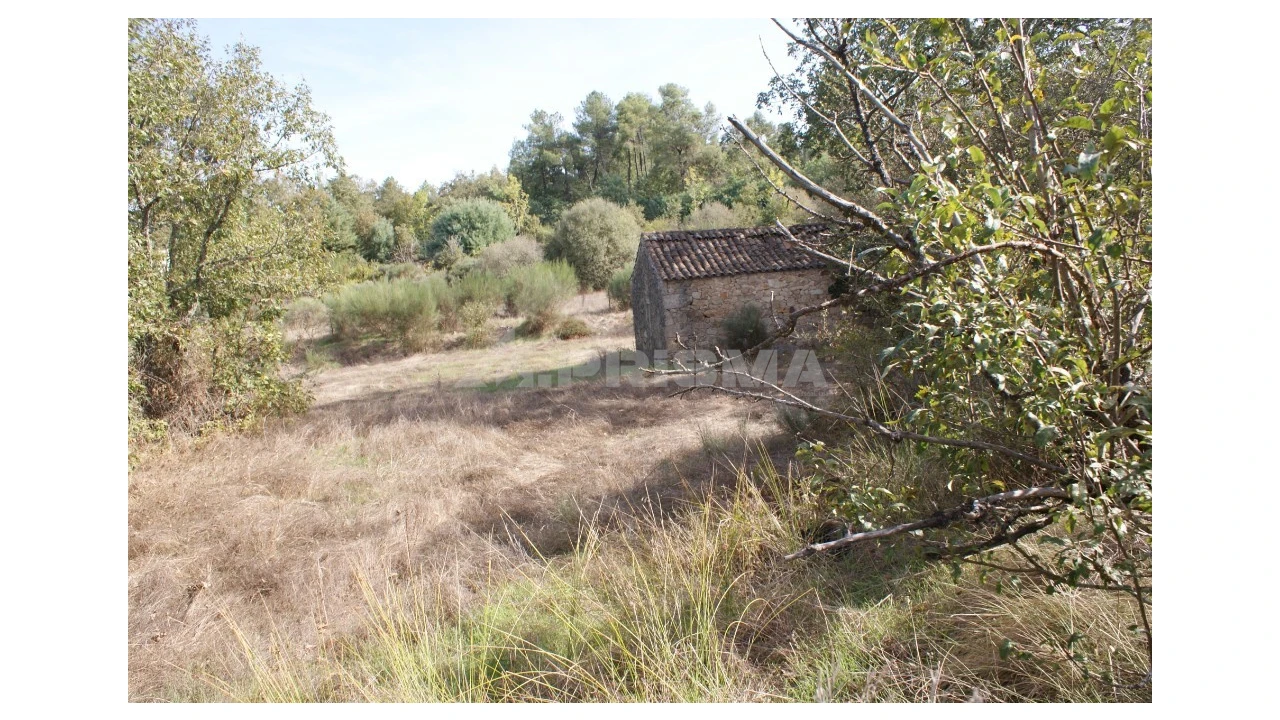 Terreno para Venda em Pero Viseu Foto 34
