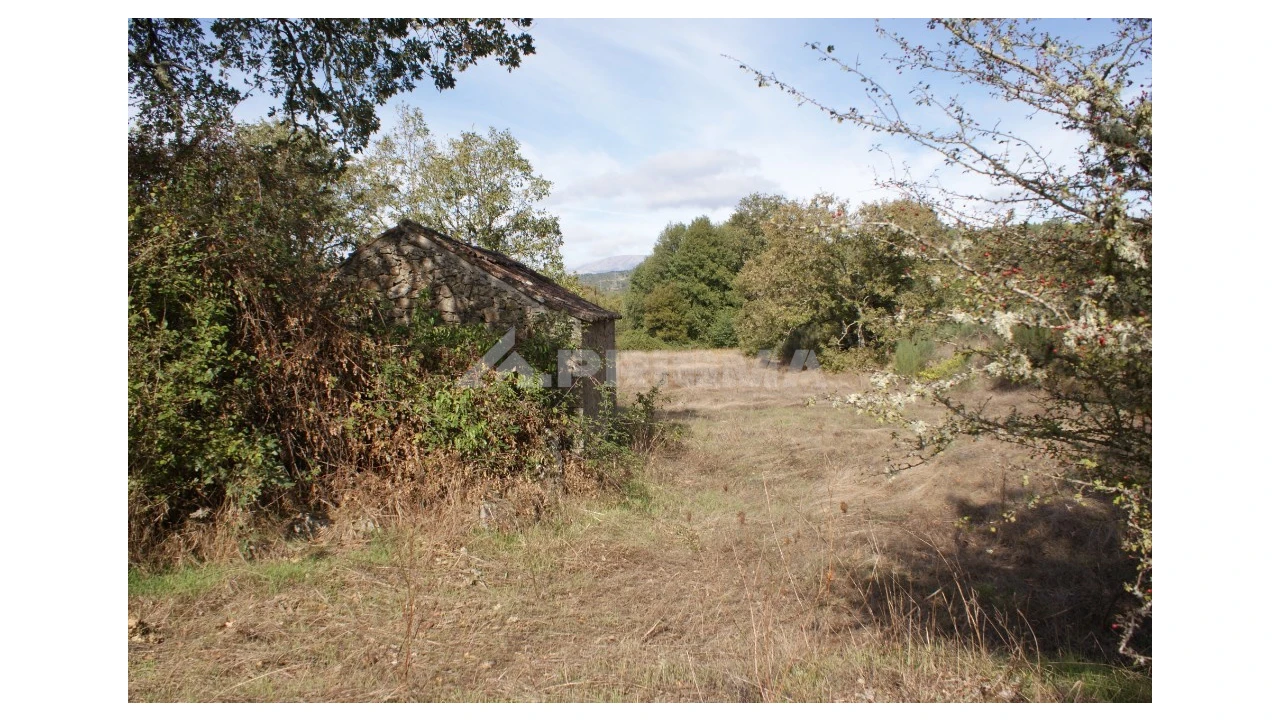 Terreno para Venda em Pero Viseu Foto 37