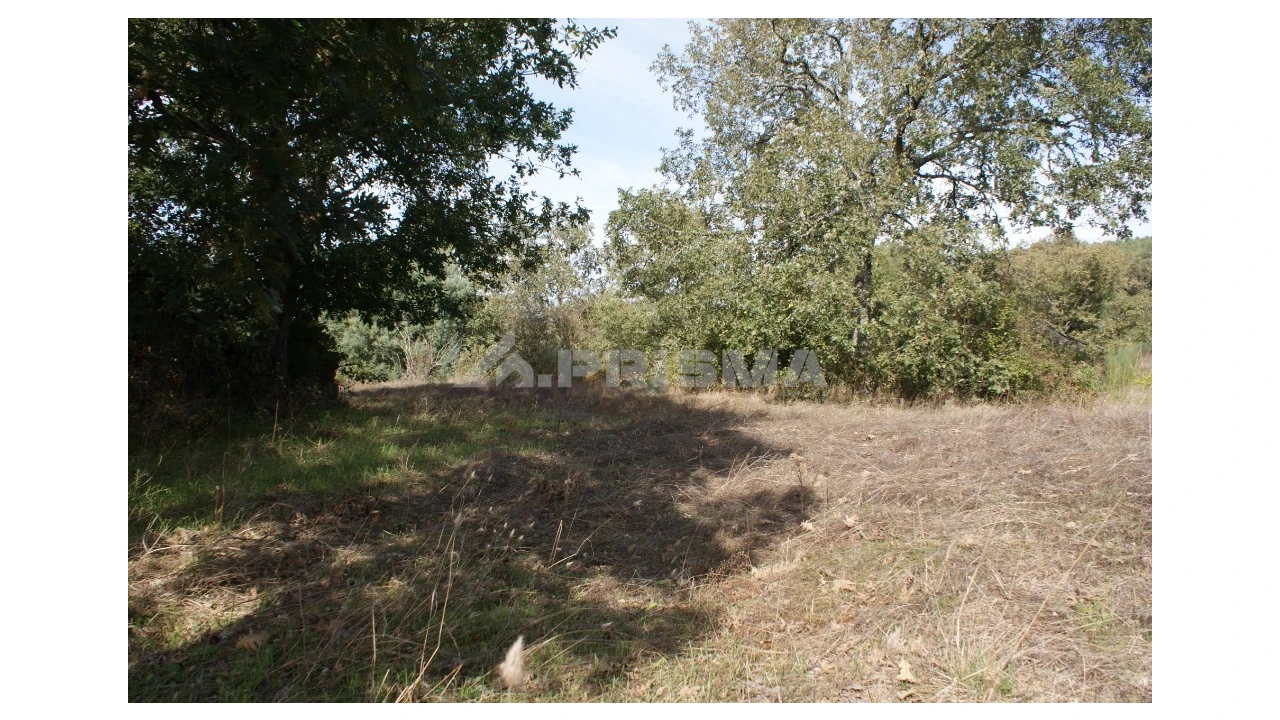 Terreno para Venda em Pero Viseu Foto 38