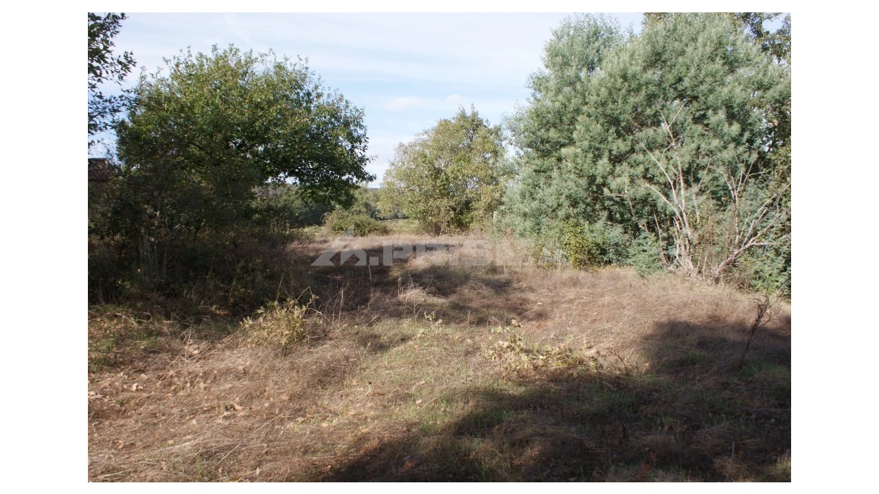 Terreno para Venda em Pero Viseu Foto 26