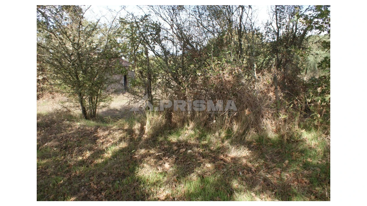 Terreno para Venda em Pero Viseu Foto 19