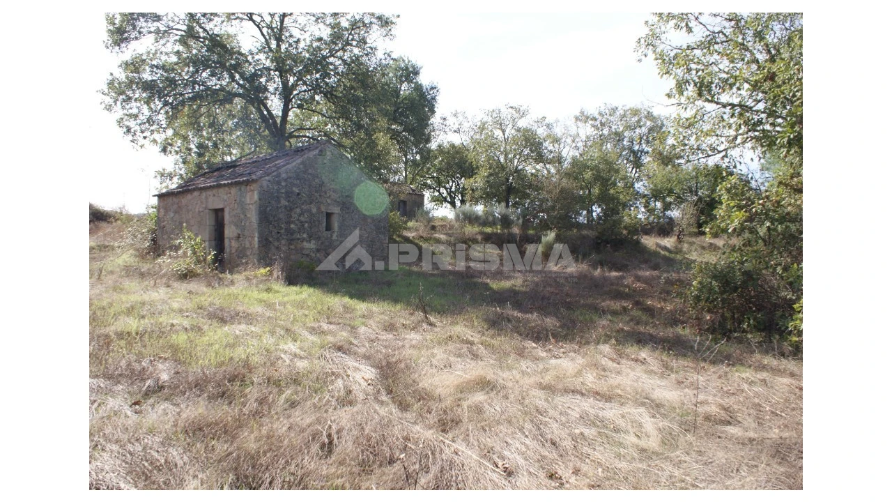Terreno para Venda em Pero Viseu Foto 30