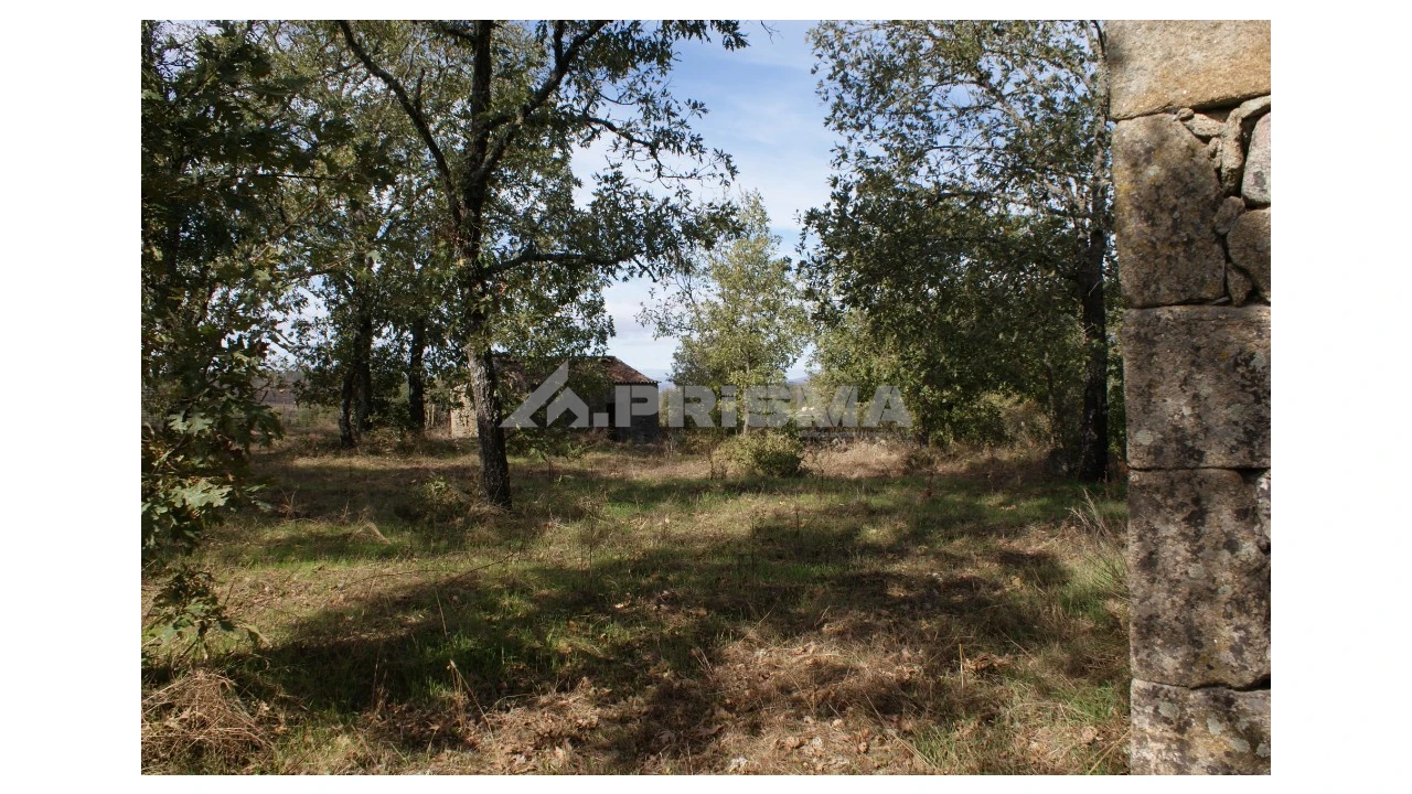 Terreno para Venda em Pero Viseu Foto 40