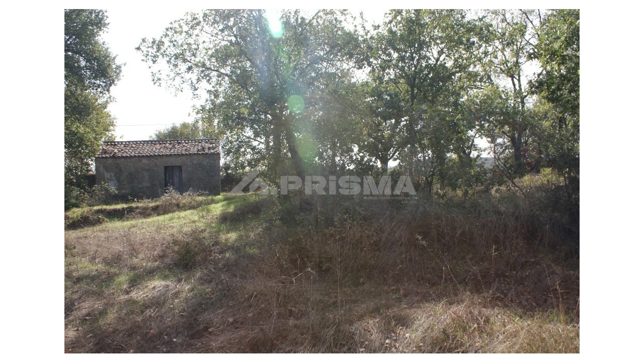 Terreno para Venda em Pero Viseu Foto 33