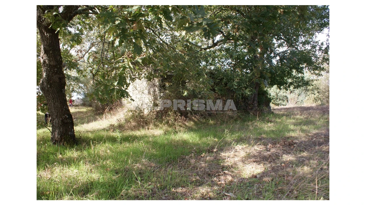 Terreno para Venda em Pero Viseu Foto 39