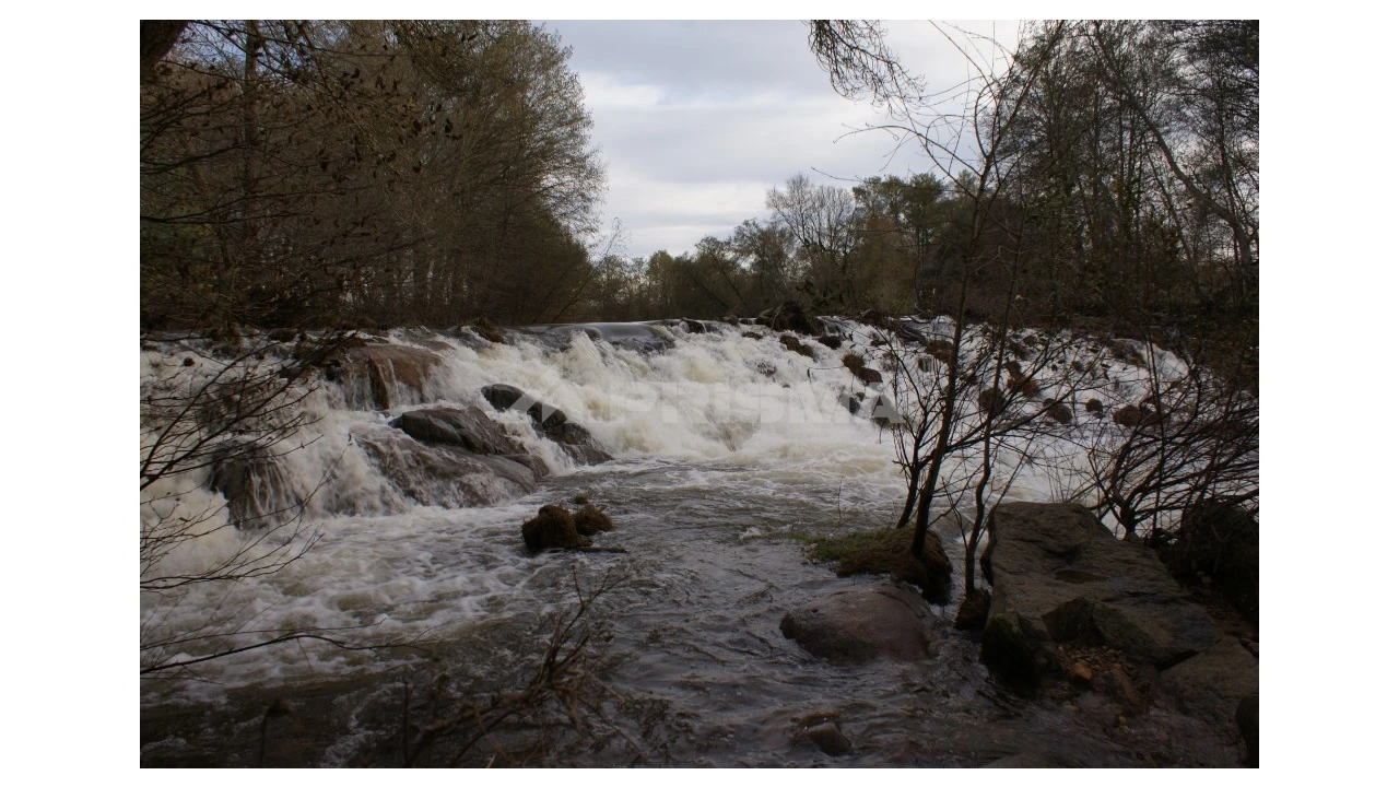 Terreno para Venda em Pero Viseu Foto 22