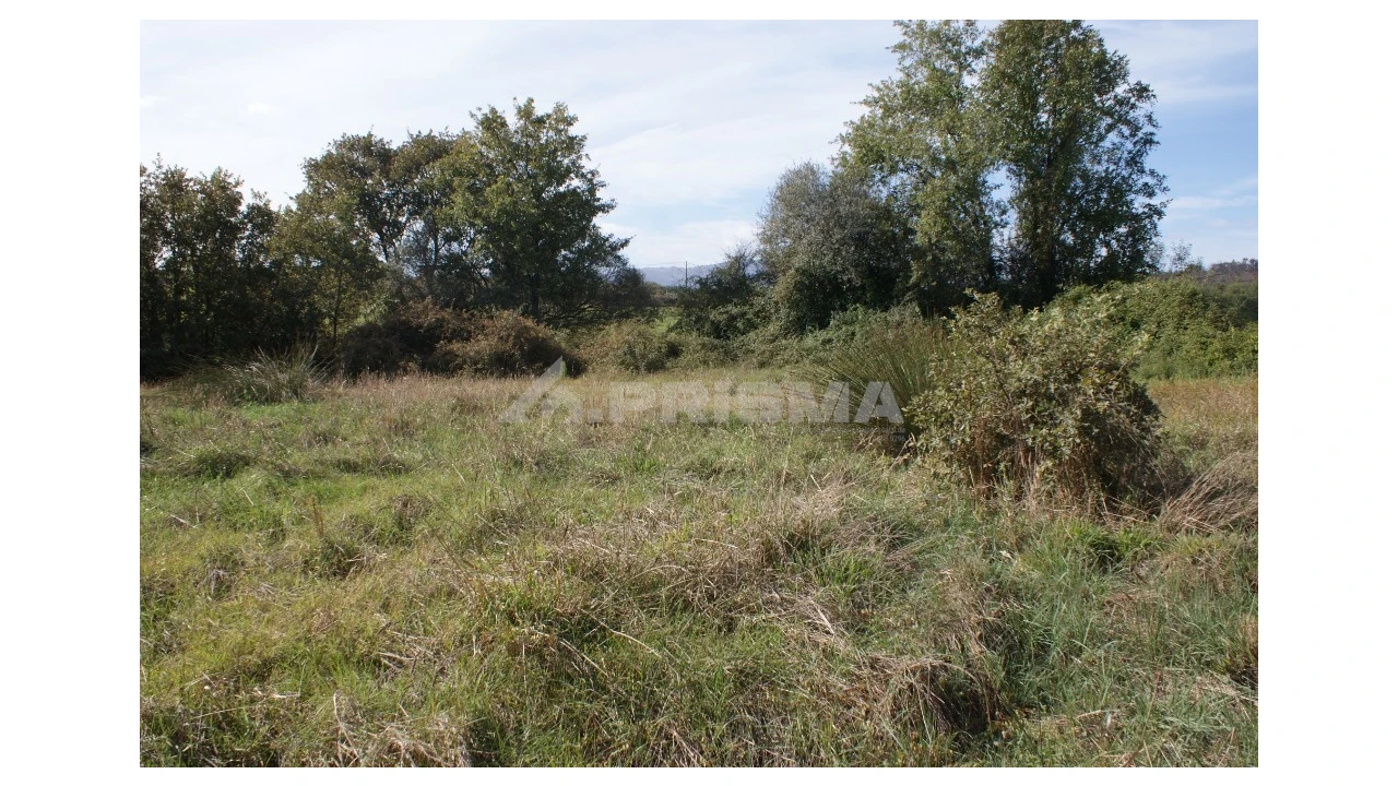 Terreno para Venda em Pero Viseu Foto 14