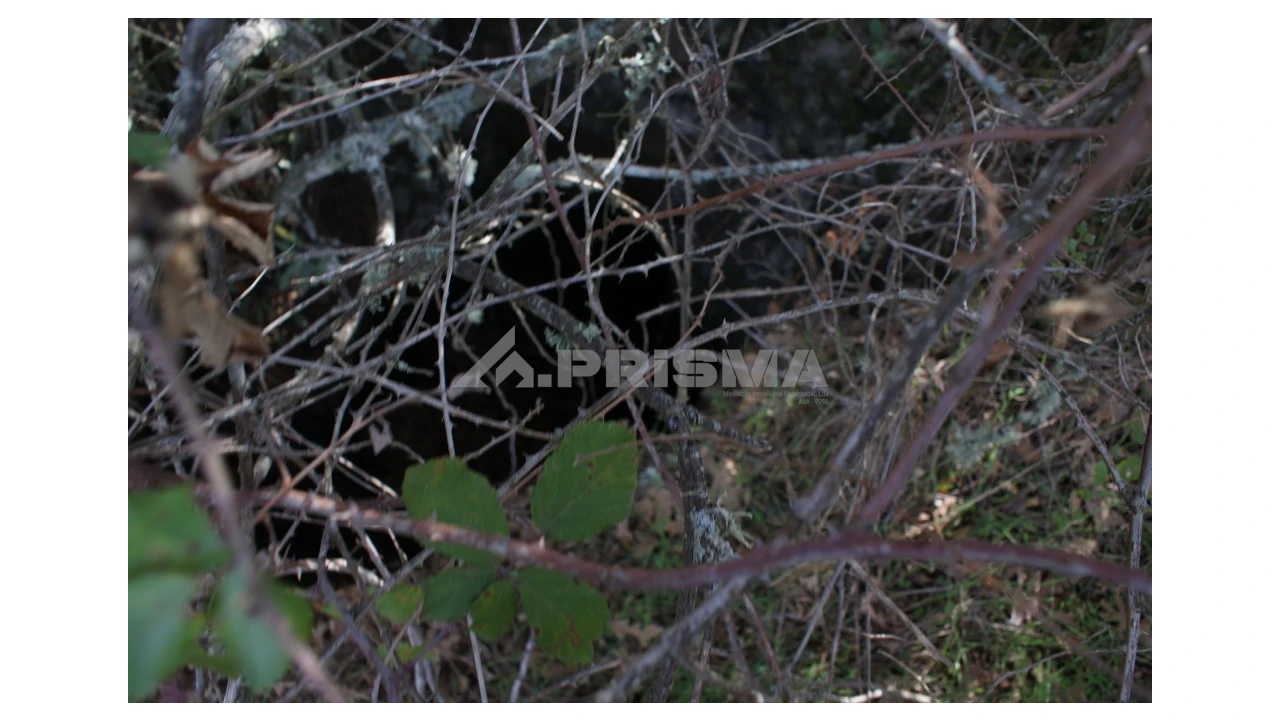 Terreno para Venda em Pero Viseu Foto 10