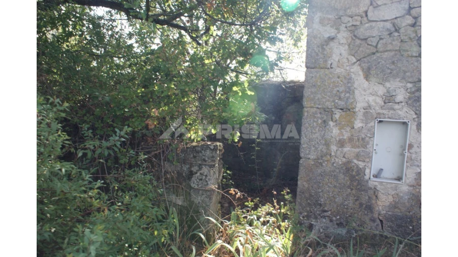 Terreno para Venda em Pero Viseu Foto 25